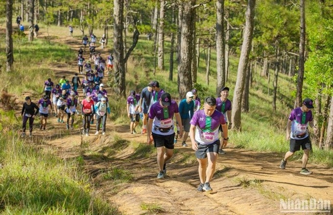 7,000 runners to join Dalat Ultra Trail 2023 - 1 7,000 runners to join Dalat Ultra Trail 2023 - 1