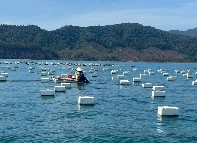 Toxic buoys to be removed from fish farms on Bai Tu Long Bay - 1 Toxic buoys to be removed from fish farms on Bai Tu Long Bay - 1