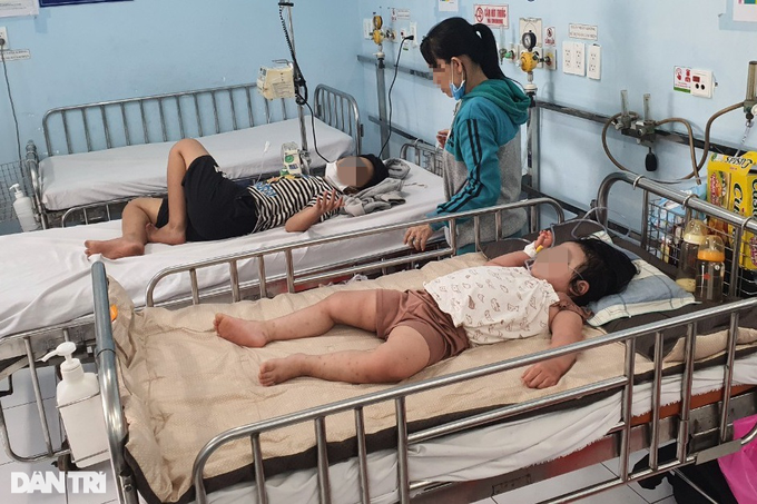 HCM City reports more dengue fever deaths - 1