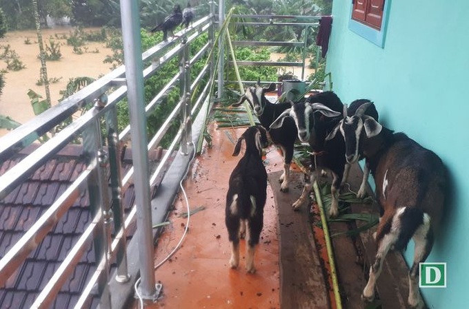 Many communes in Ha Tinh under water - 14