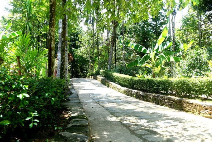 Quang Nam seeking ways to develop village tourism - 1