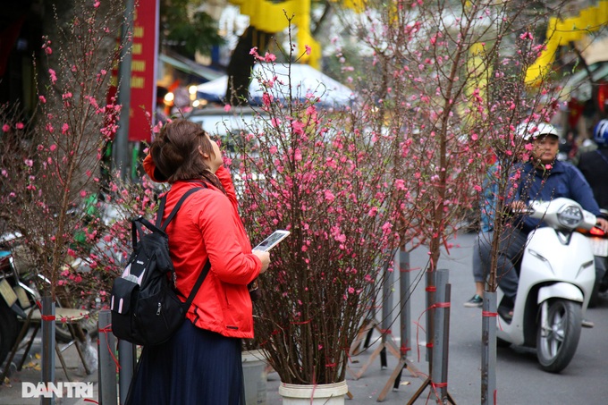 Hanoi flower market ahead of Tet - 2