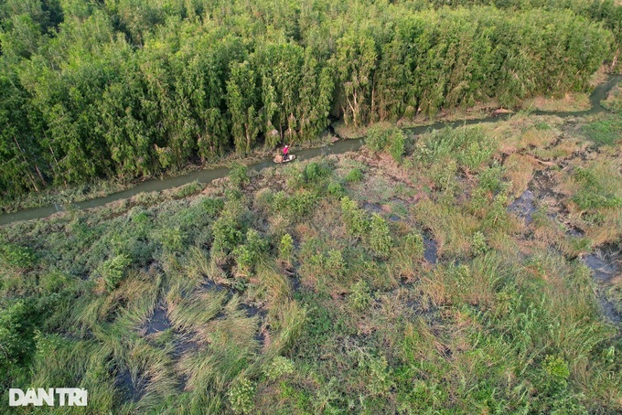 Primitive beauty of Van Long Wetland - 2 Primitive beauty of Van Long Wetland - 2