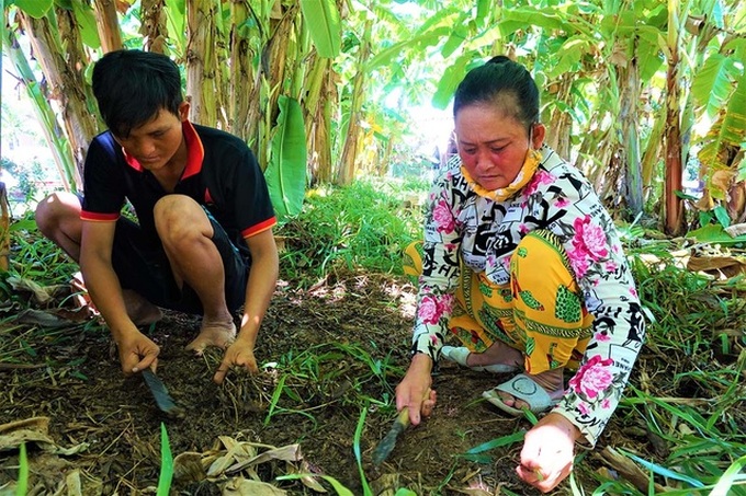 Disabled Kien Giang family thrive despite disadvantages - 3 Disabled Kien Giang family thrive despite disadvantages - 3
