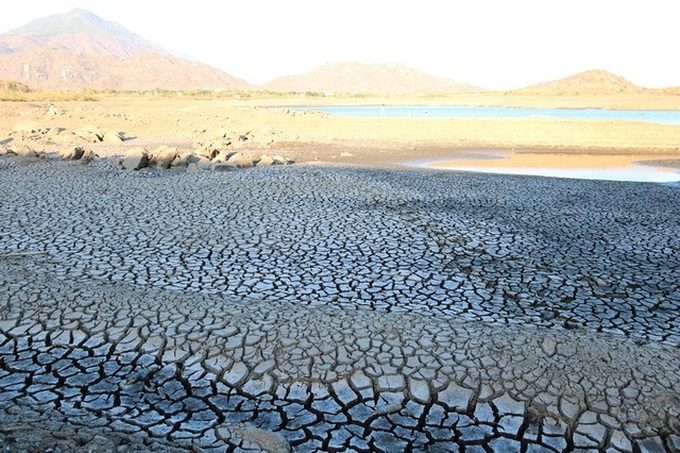 Binh Thuan struggles to deal with early drought - 6 Binh Thuan struggles to deal with early drought - 6