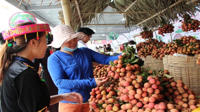 Vietnamese litchi granted geographical indication in Japan - 1
