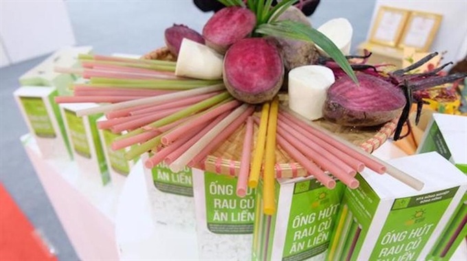 Vegetable straws proving a hit around the world - 1 Vegetable straws proving a hit around the world - 1