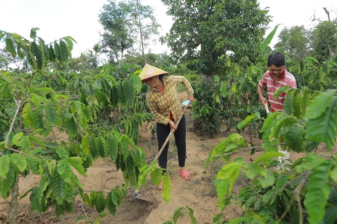 5-million-euro sustainable landscape project set for Central Highlands - 1