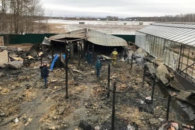 Vietnamese embassy identifies Moscow farm fire victims - 1 Vietnamese embassy identifies Moscow farm fire victims - 1