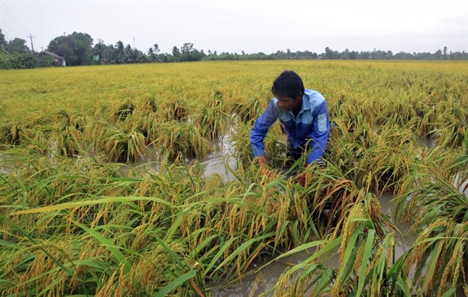 Southern provinces told to brace for severe weather this year - 1 Southern provinces told to brace for severe weather this year - 1