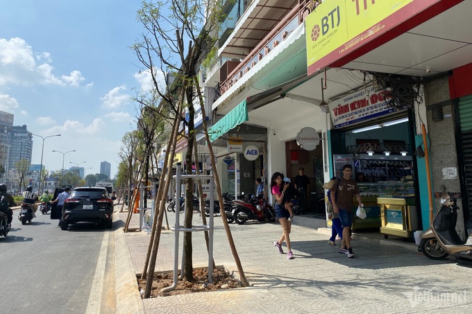 HCM City opts for trees instead of Le Loi roofing - 4