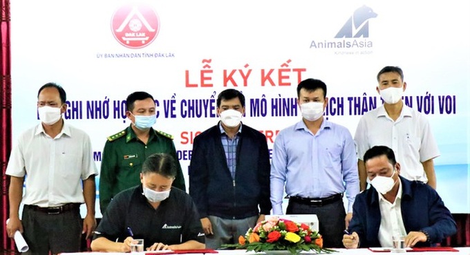 Animals Asia continues supporting Dak Lak elephant conservation - 1