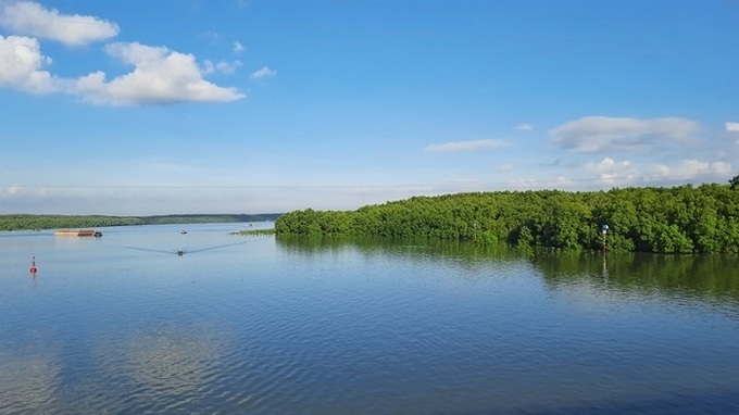 Project targets to plant additional 20,000 hectares of forest in response to climate change - 1 Project targets to plant additional 20,000 hectares of forest in response to climate change - 1