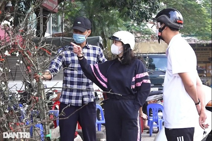 Wild peach, plum branches sold early in Hanoi - 5 Wild peach, plum branches sold early in Hanoi - 5