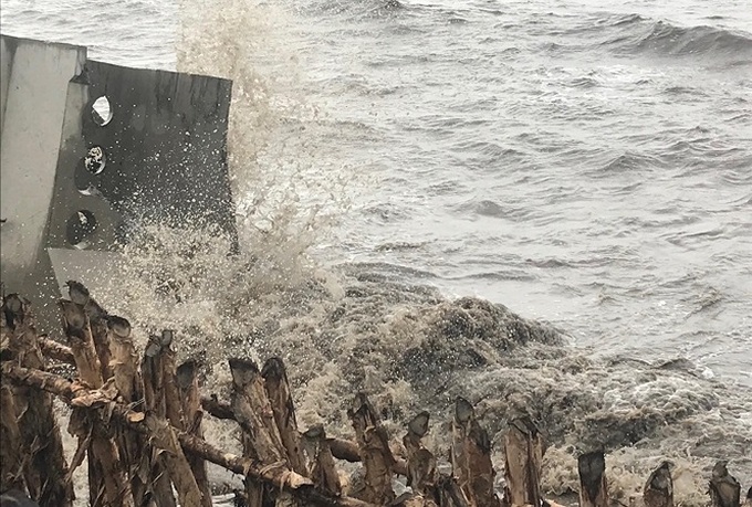 Ca Mau continues struggling with dyke erosion - 1