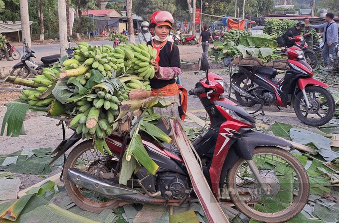 Lai Chau banana market bustles again after China border gate reopens - 4 Lai Chau banana market bustles again after China border gate reopens - 4