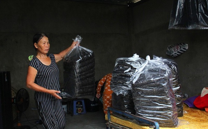 Danang residents earn big on seaweed season - 3