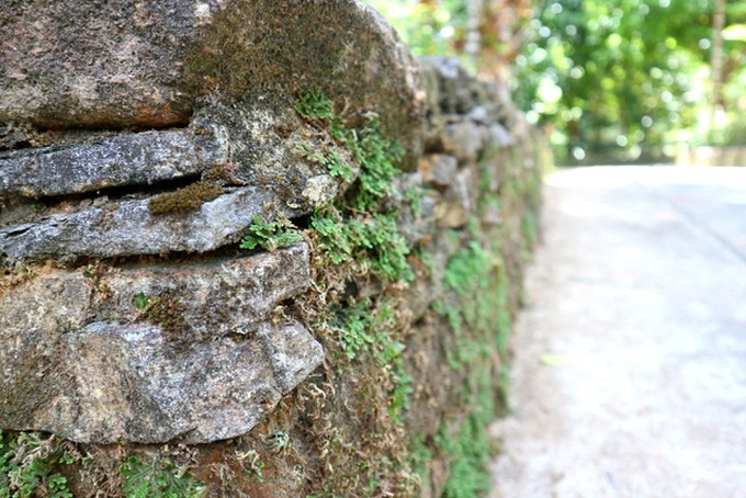 Quang Nam seeking ways to develop village tourism - 2