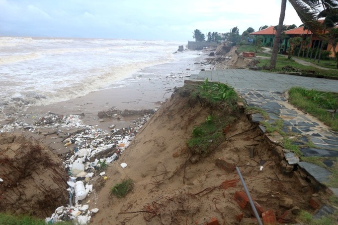 Nearly 100 people join in saving Hoi An beach from erosion - 2