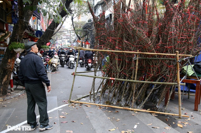 Hanoi flower market ahead of Tet - 3