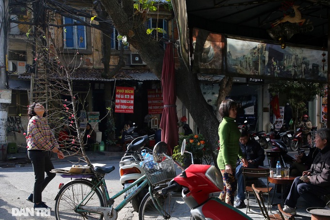 Early peach blossoms on Hanoi streets - 2