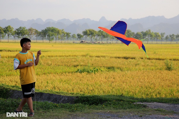 Hanoi's suburbs during ripening rice season - 3 Hanoi's suburbs during ripening rice season - 3