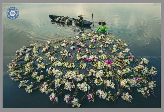 HCM City to host first International Photography Festival 2022 - 1 HCM City to host first International Photography Festival 2022 - 1