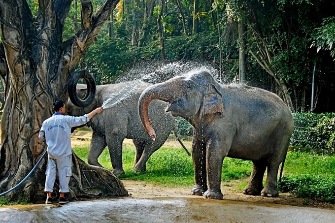 Saigon Zoo offers entertainment space for children - 2