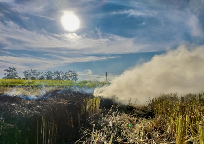 Hanoi polluted by straw burning - 2 Hanoi polluted by straw burning - 2
