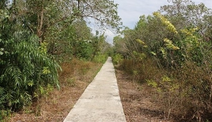 Mekong Delta takes multiple measures to prevent forest fires - 1 Mekong Delta takes multiple measures to prevent forest fires - 1