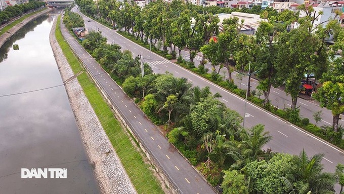 Hundreds of trees relocated for Hanoi drainage project - 1