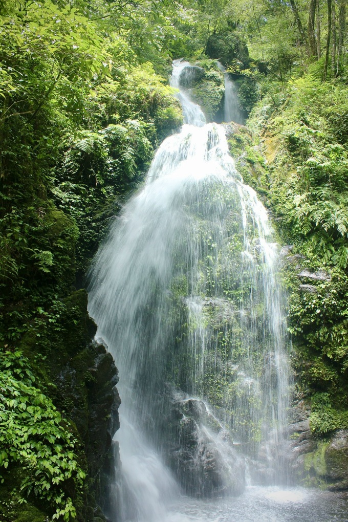 Ha Tinh national park’s pristine beauty - 4