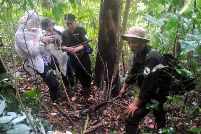 Labour-intensive removal efforts to stop snaring crisis in the Southeast Asian - 1 Labour-intensive removal efforts to stop snaring crisis in the Southeast Asian - 1