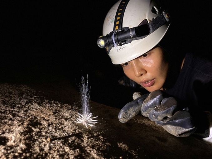Unseen species found in Phong Nha – Kẻ Bàng National Park - 1