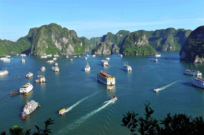 Hạ Long City investigates reported accomodation fraud - 1 Hạ Long City investigates reported accomodation fraud - 1