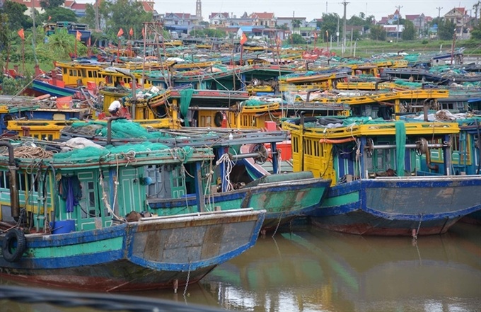 Coastal provinces push for sustainable fisheries to overcome EC warning - 1