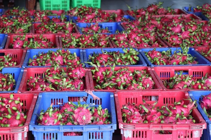 The EU increases control over quality of several Vietnam’s agricultural products - 1