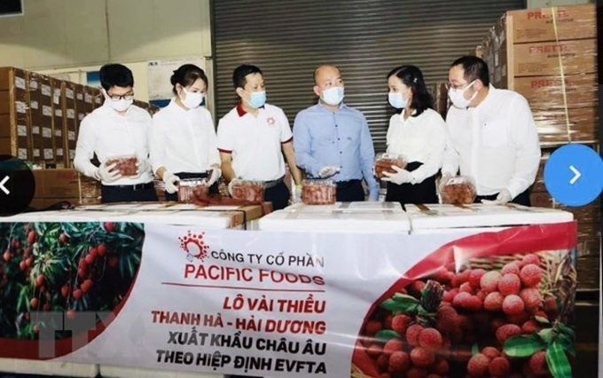 Vietnamese lychees head for EU markets - 1