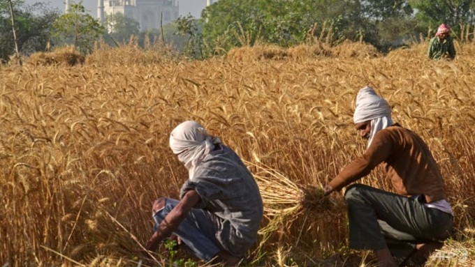Climate talks test global resolve on warming - 1 Climate talks test global resolve on warming - 1