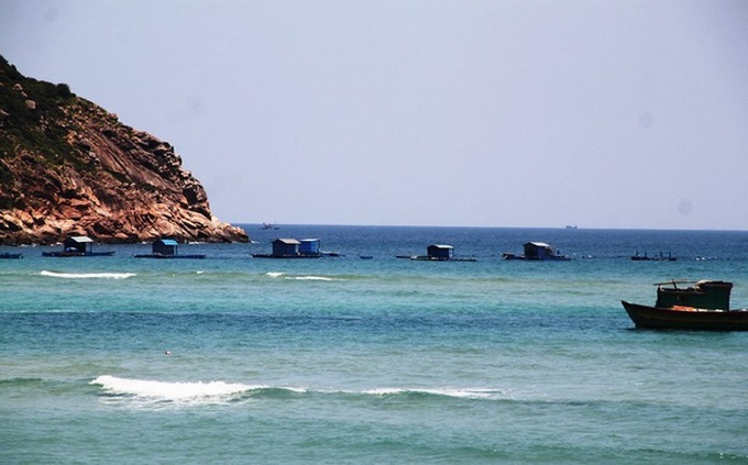 Lobster farmers incur huge losses amid Covid-19 - 1 Lobster farmers incur huge losses amid Covid-19 - 1