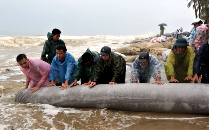 Nearly 100 people join in saving Hoi An beach from erosion - 1