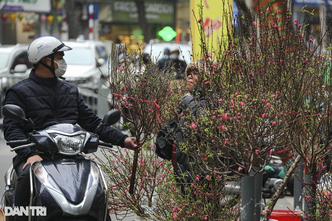 Hanoi streets becomes Tet markets - 4