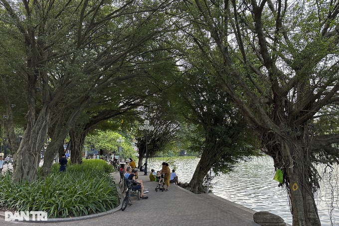 Hanoi central lake attracts wild birds - 4