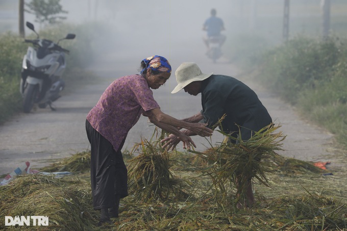 Hanoi’s submerged rice fields face wipeout - 4