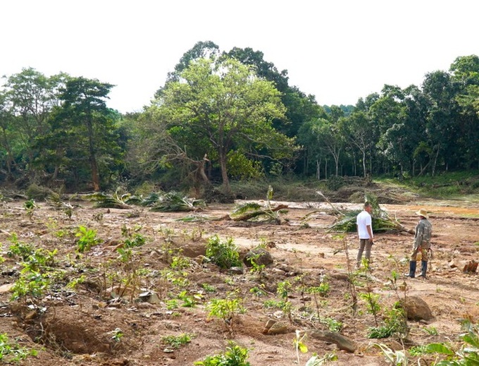 Gia Lai hydroelectric dam breaks, damaging crops - 2