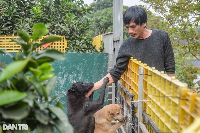 Hanoi group takes care of abandoned cats and dogs - 1 Hanoi group takes care of abandoned cats and dogs - 1