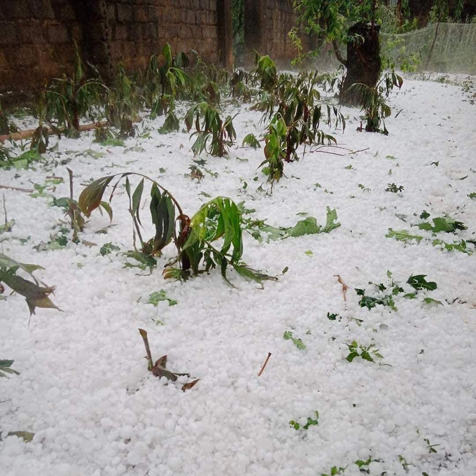 Hailstorm ravages Son La - 2 Hailstorm ravages Son La - 2