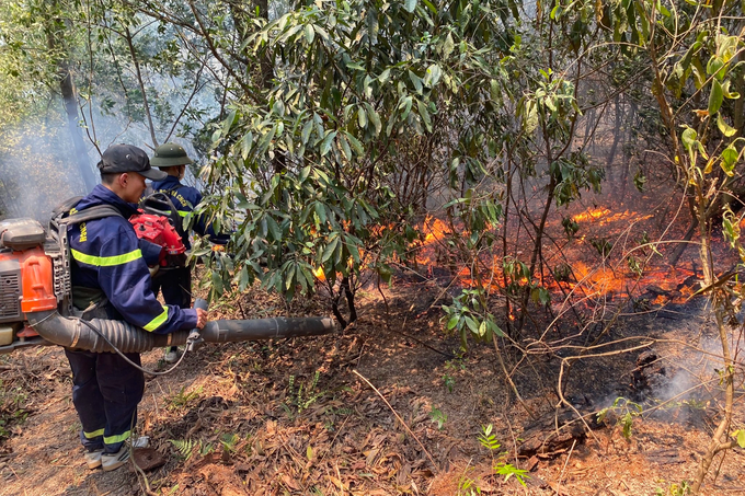 Nearly 500 people join Nghe An forest fire fighting - 2