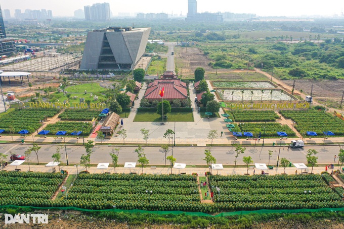 Saigon River Park gets facelift ahead of Tet - 6 Saigon River Park gets facelift ahead of Tet - 6