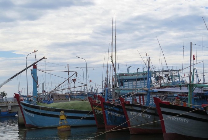 Thousands of fishing vessels face suspension - 1